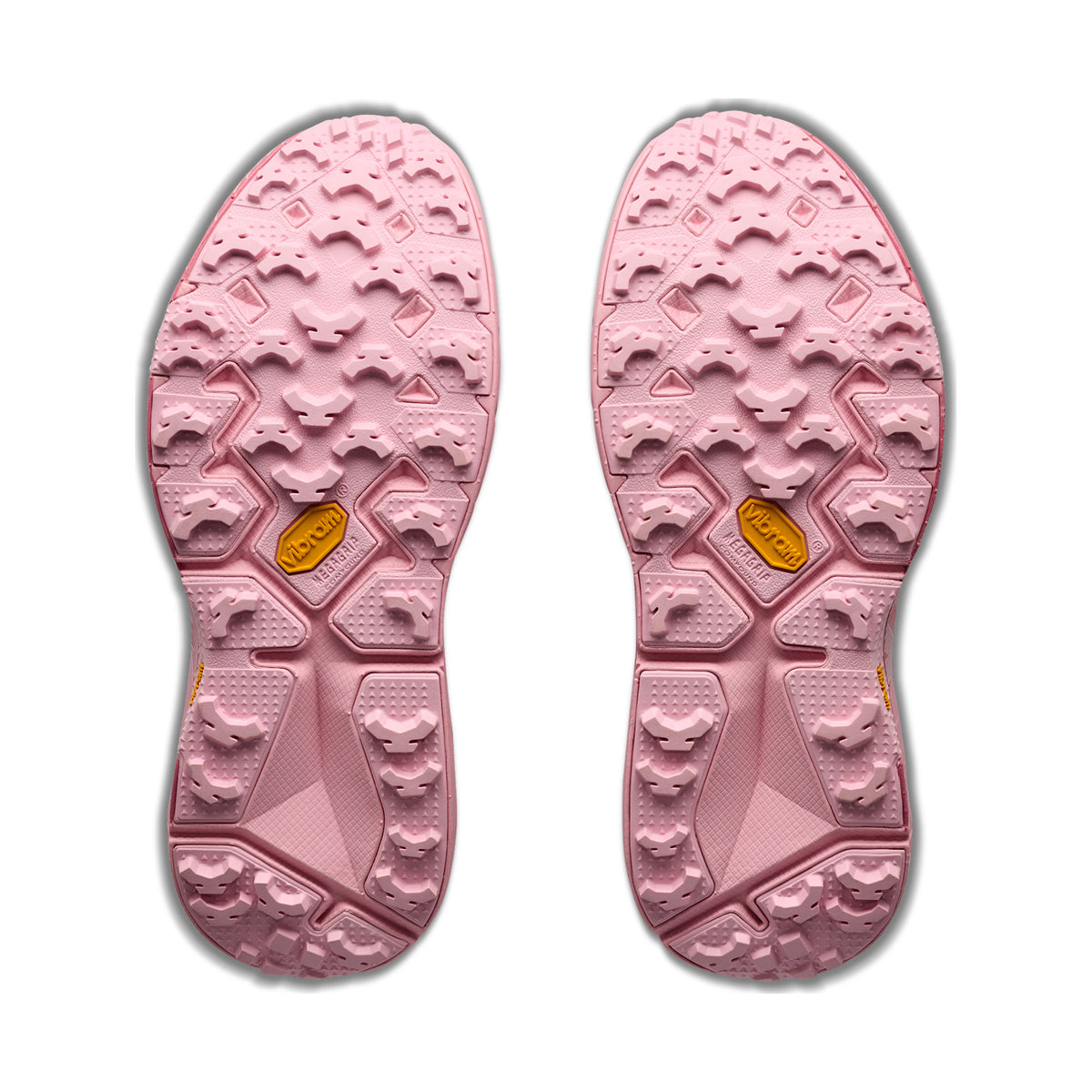 Speedgoat 2 — Dewy Pink / Rose Garden Pink