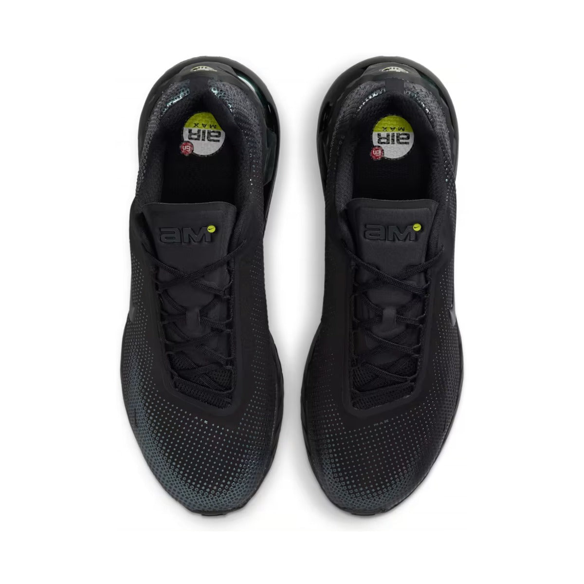 Air Max Phoenix