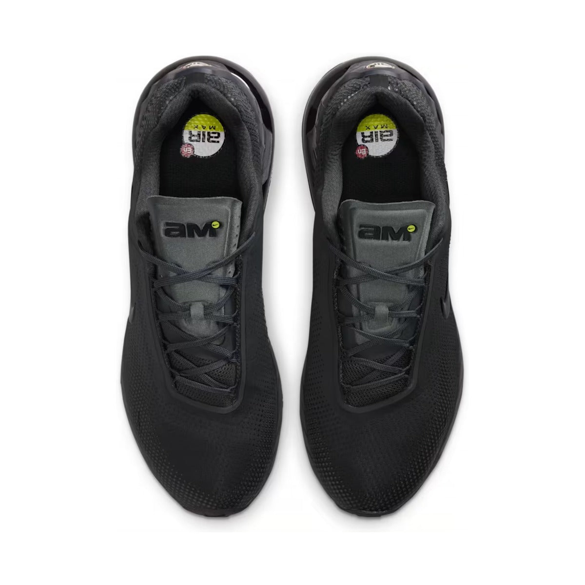Air Max Phoenix