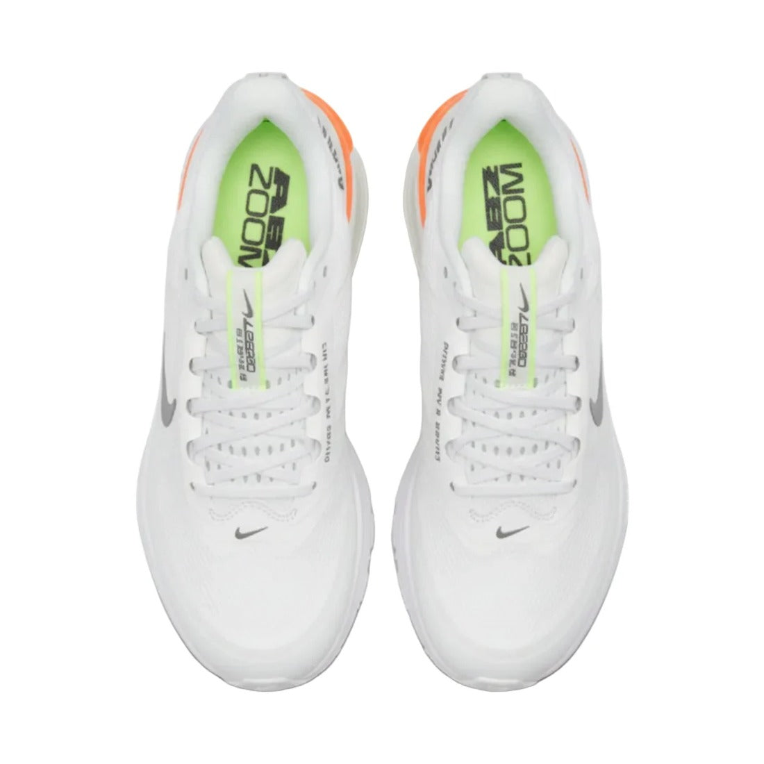 Pegasus Premium