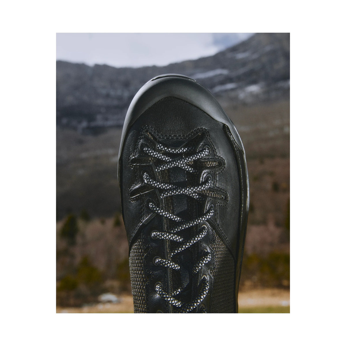 X-ALP ALPINE ECHOES